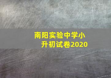 南阳实验中学小升初试卷2020