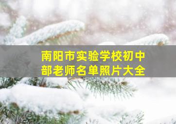 南阳市实验学校初中部老师名单照片大全