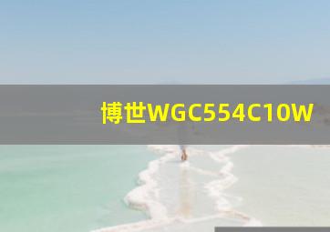 博世WGC554C10W