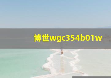 博世wgc354b01w