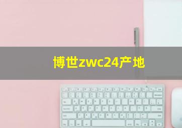 博世zwc24产地