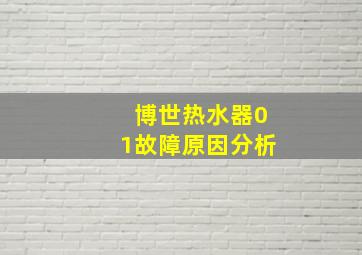 博世热水器01故障原因分析