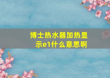 博士热水器加热显示e1什么意思啊