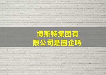 博斯特集团有限公司是国企吗