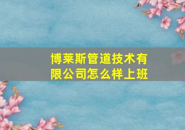 博莱斯管道技术有限公司怎么样上班