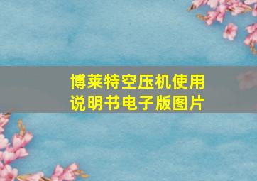 博莱特空压机使用说明书电子版图片