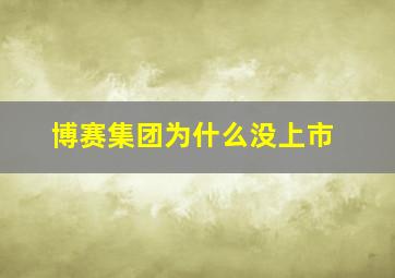 博赛集团为什么没上市