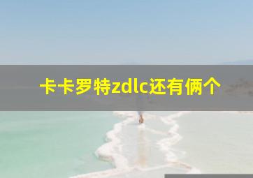 卡卡罗特zdlc还有俩个