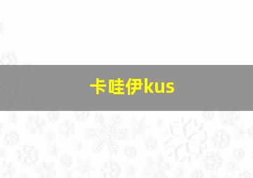 卡哇伊kus