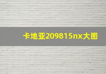 卡地亚209815nx大图