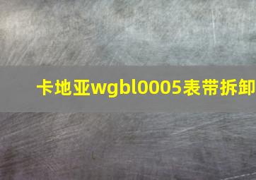 卡地亚wgbl0005表带拆卸