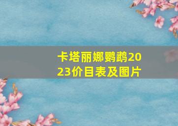 卡塔丽娜鹦鹉2023价目表及图片