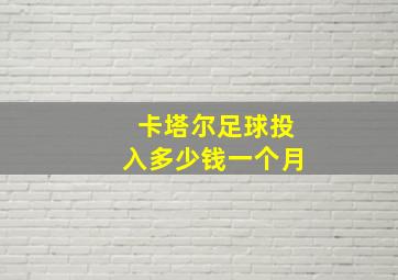 卡塔尔足球投入多少钱一个月