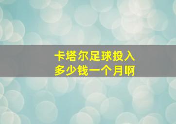 卡塔尔足球投入多少钱一个月啊