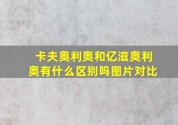 卡夫奥利奥和亿滋奥利奥有什么区别吗图片对比