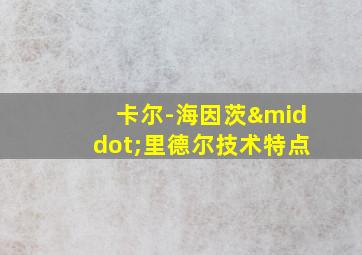 卡尔-海因茨·里德尔技术特点