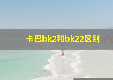 卡巴bk2和bk22区别