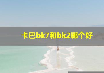 卡巴bk7和bk2哪个好