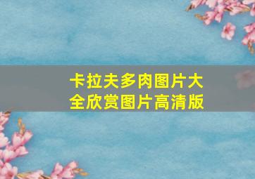 卡拉夫多肉图片大全欣赏图片高清版