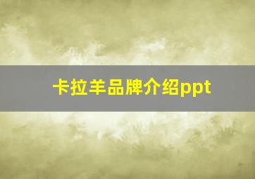 卡拉羊品牌介绍ppt