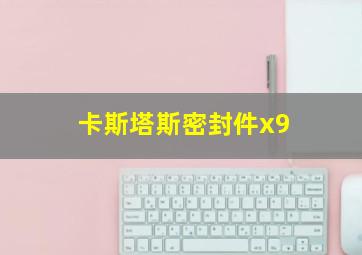 卡斯塔斯密封件x9