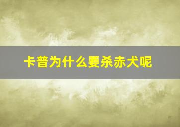 卡普为什么要杀赤犬呢