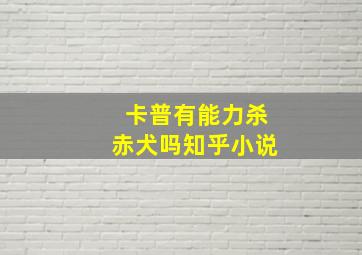 卡普有能力杀赤犬吗知乎小说