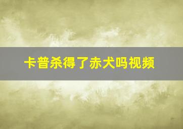 卡普杀得了赤犬吗视频