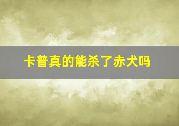 卡普真的能杀了赤犬吗