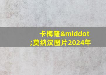 卡梅隆·莫纳汉图片2024年