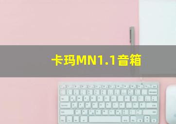 卡玛MN1.1音箱