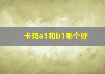 卡玛a1和b1哪个好