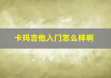 卡玛吉他入门怎么样啊