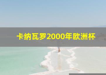 卡纳瓦罗2000年欧洲杯