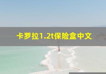 卡罗拉1.2t保险盒中文