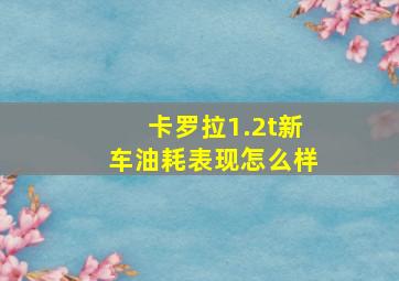 卡罗拉1.2t新车油耗表现怎么样