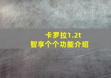 卡罗拉1.2t智享个个功能介绍