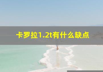 卡罗拉1.2t有什么缺点