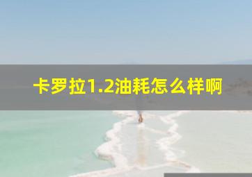 卡罗拉1.2油耗怎么样啊