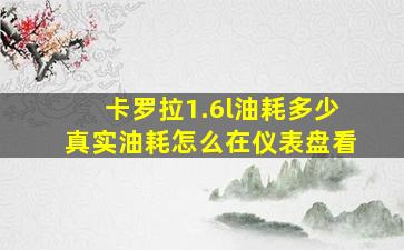 卡罗拉1.6l油耗多少真实油耗怎么在仪表盘看