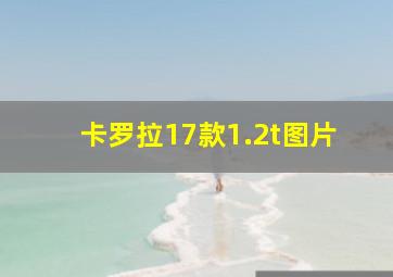 卡罗拉17款1.2t图片