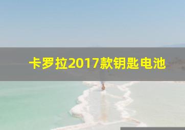 卡罗拉2017款钥匙电池