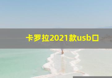 卡罗拉2021款usb口