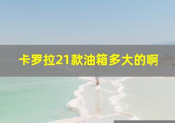 卡罗拉21款油箱多大的啊