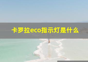 卡罗拉eco指示灯是什么