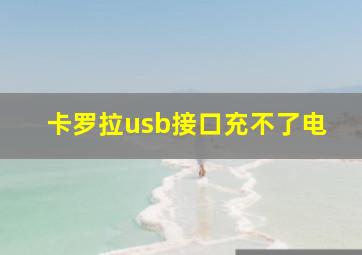 卡罗拉usb接口充不了电