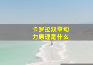 卡罗拉双擎动力原理是什么