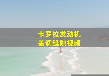 卡罗拉发动机盖调缝隙视频