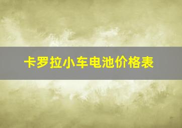 卡罗拉小车电池价格表