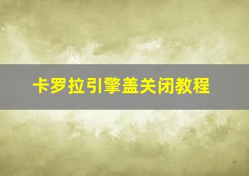 卡罗拉引擎盖关闭教程